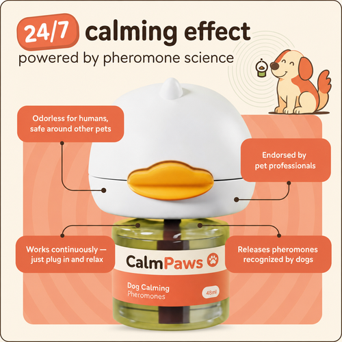 CalmPaws Diffuser