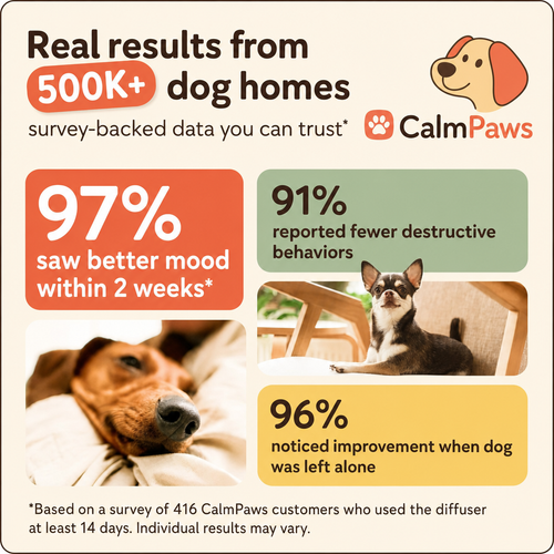 CalmPaws Diffuser