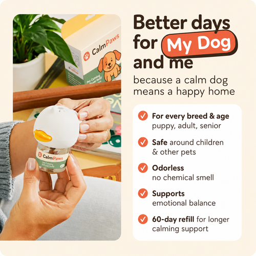 CalmPaws Diffuser