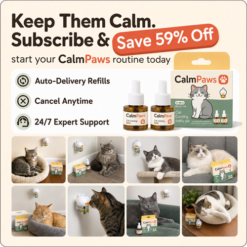 CalmPaws Cat Diffuser